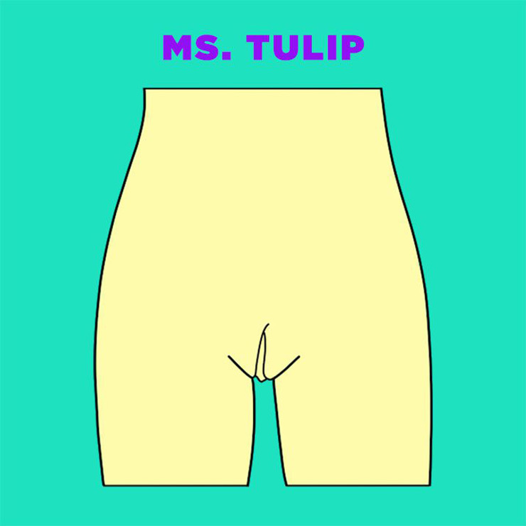 Vagina Tulipa